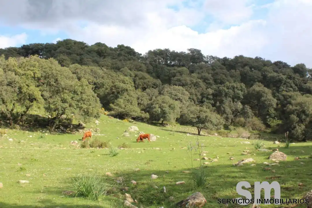 Terreni e lotti in vendita a Cortes de la Frontera, imagen 11