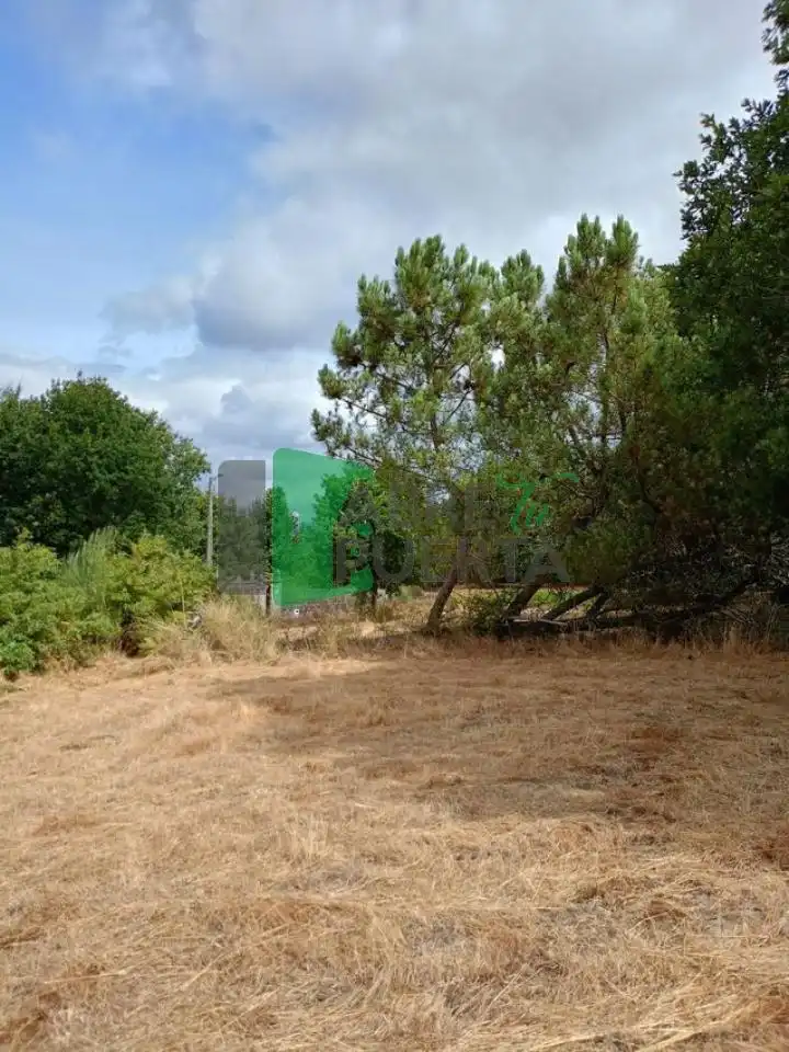 Terrenys i solars en venda a Amoeiro