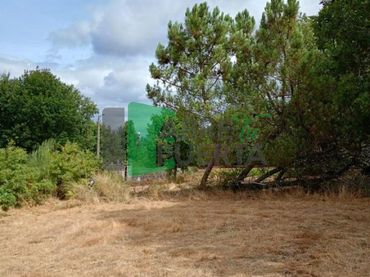 Wohnbaugrundstück zum Verkauf in Amoeiro