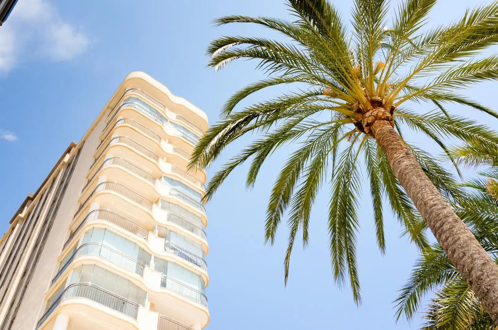 Appartement compact avec terrasse à vendre à Playa Arenal - Bol, imagen 17
