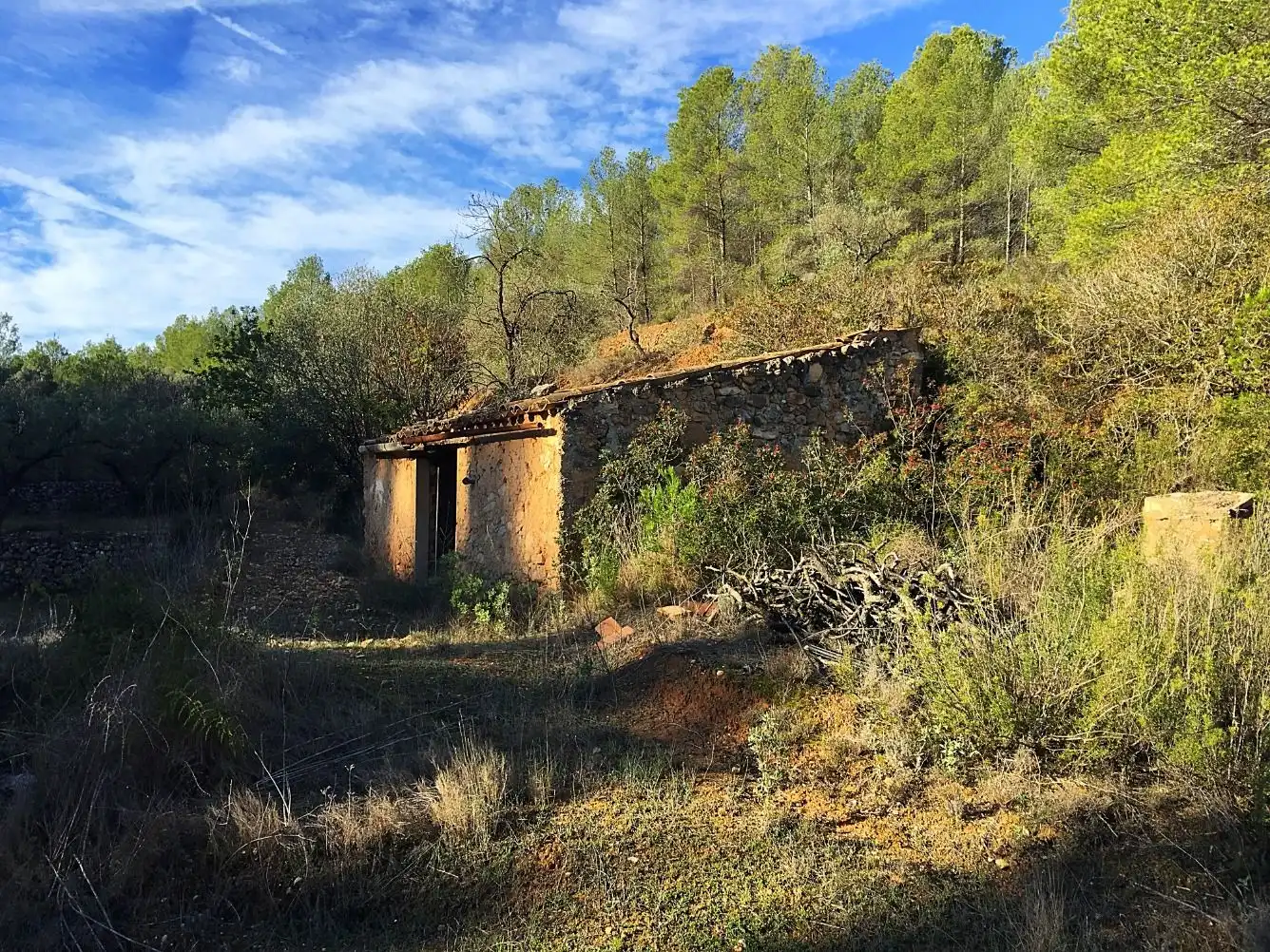 Maison à vendre à El Pinell de Brai, imagen 6