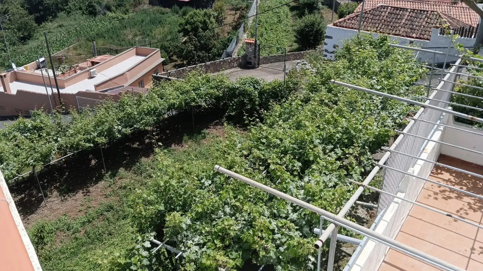Maison avec terrasse à vendre à La Vega - El Amparo - Cueva del Viento, imagen 22