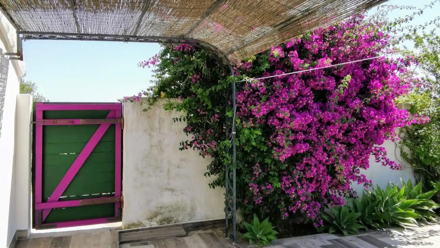 Vista exterior de Finca rústica en venta en Teulada con Calefacción, Jardín privado y Terraza