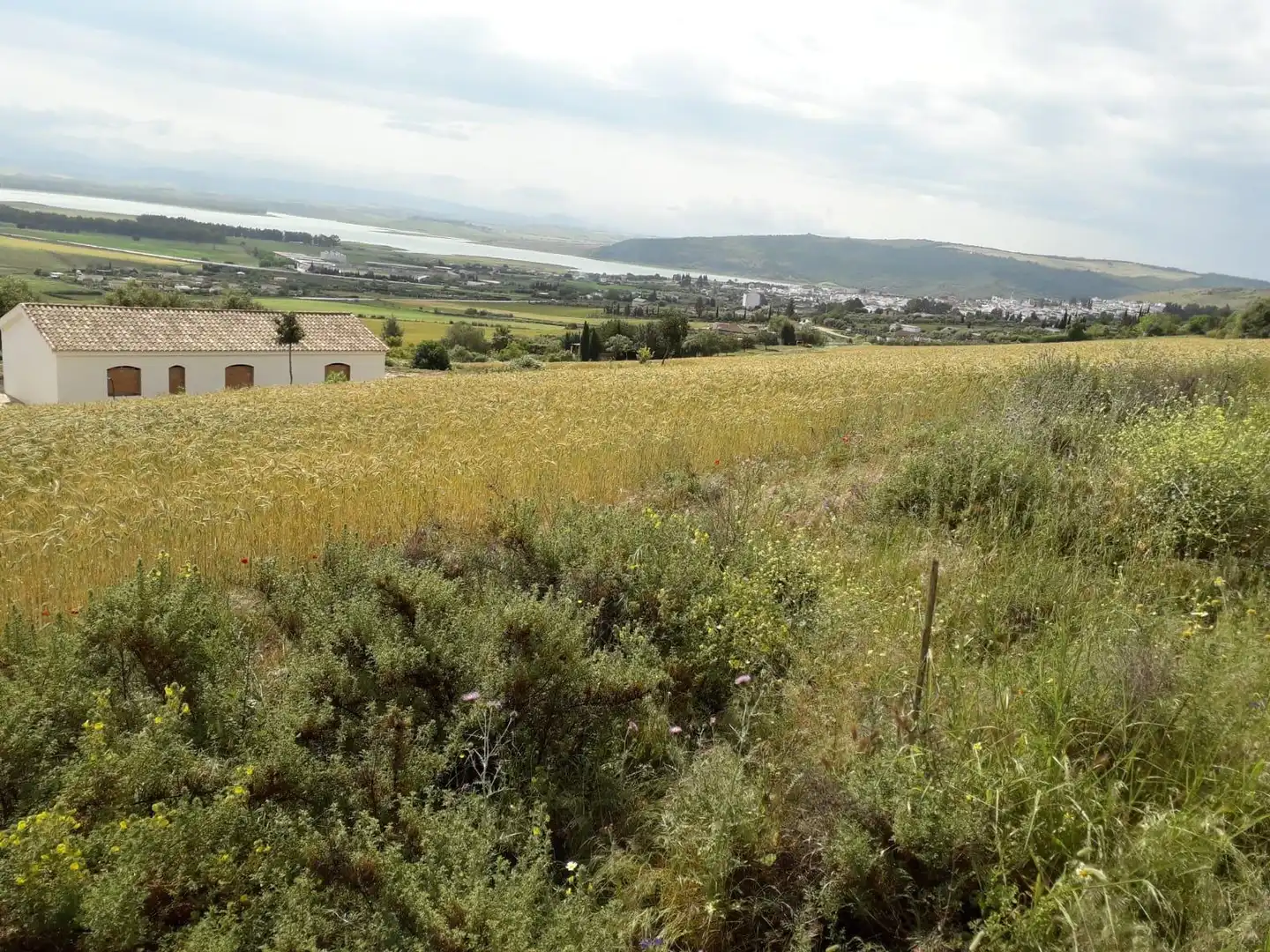 House for sale in Bornos, imagen 17