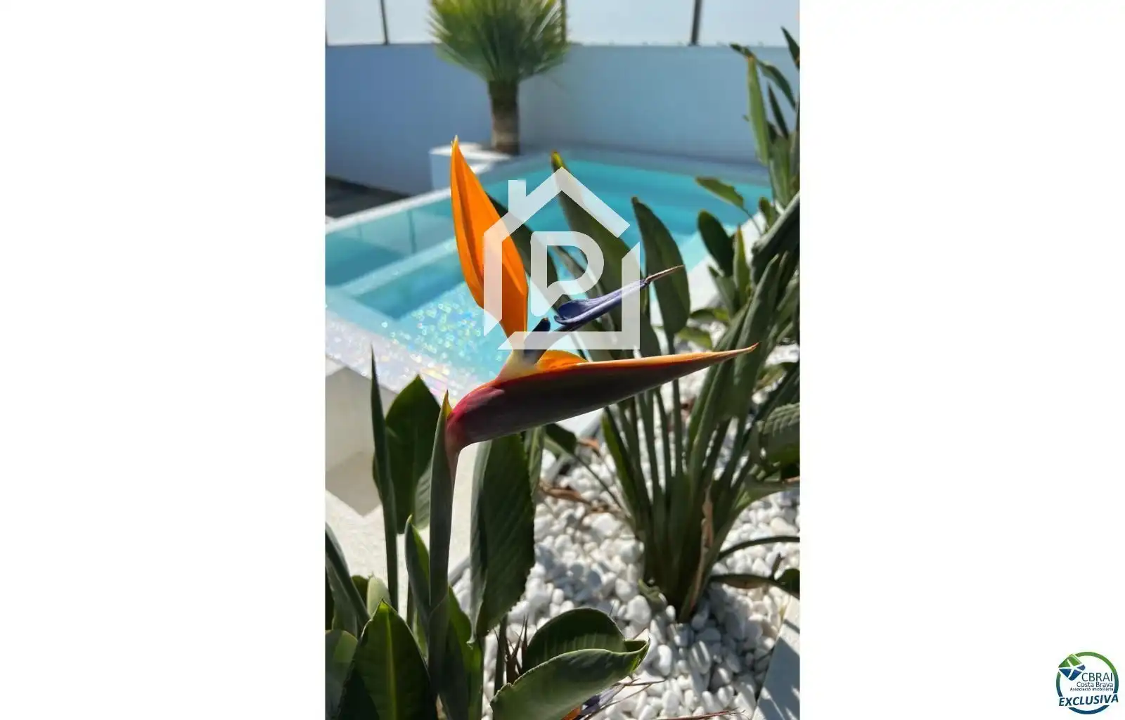 Villa avec piscine à vendre à Falconera, imagen 9