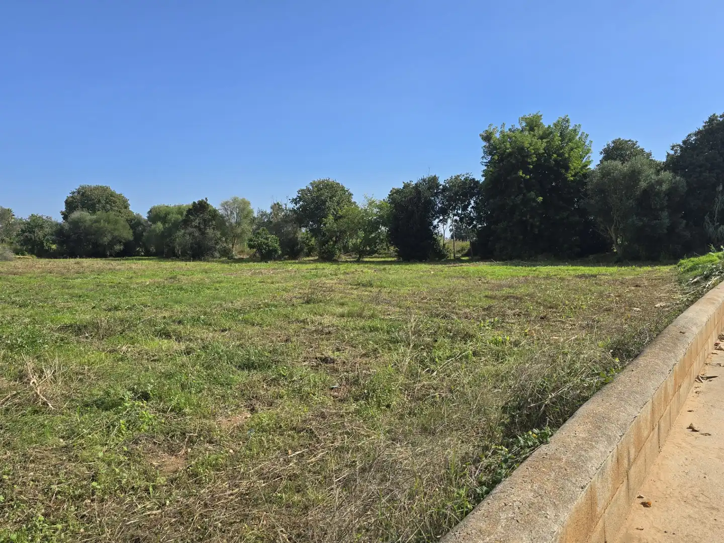 Terrain rustique à vendre à Partida las Casas, imagen 3