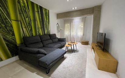 Living room of Flat to rent in Alicante / Alacant  with Air Conditioner, Heating and Furnished