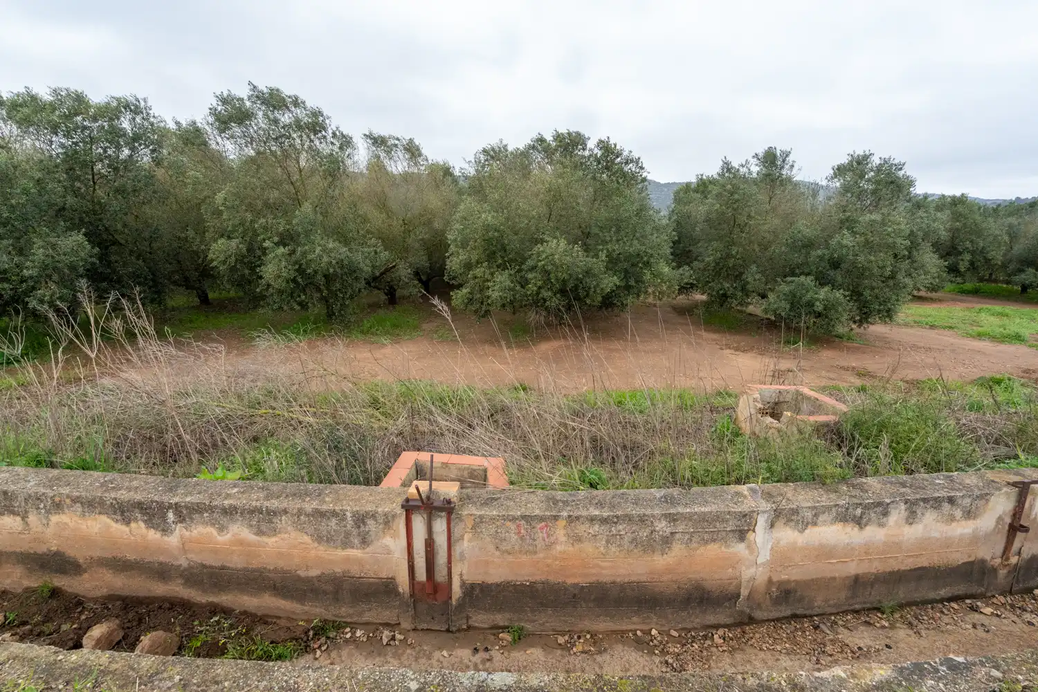 Rural land for sale in Godall, imagen 4