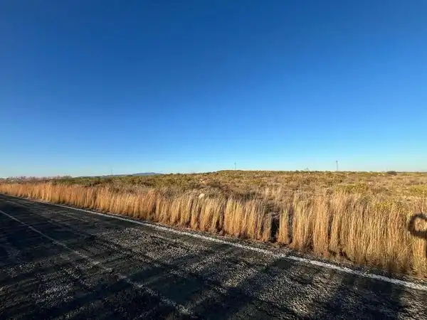 Rural land for sale in Carretera de Barqueros A 11, imagen 4