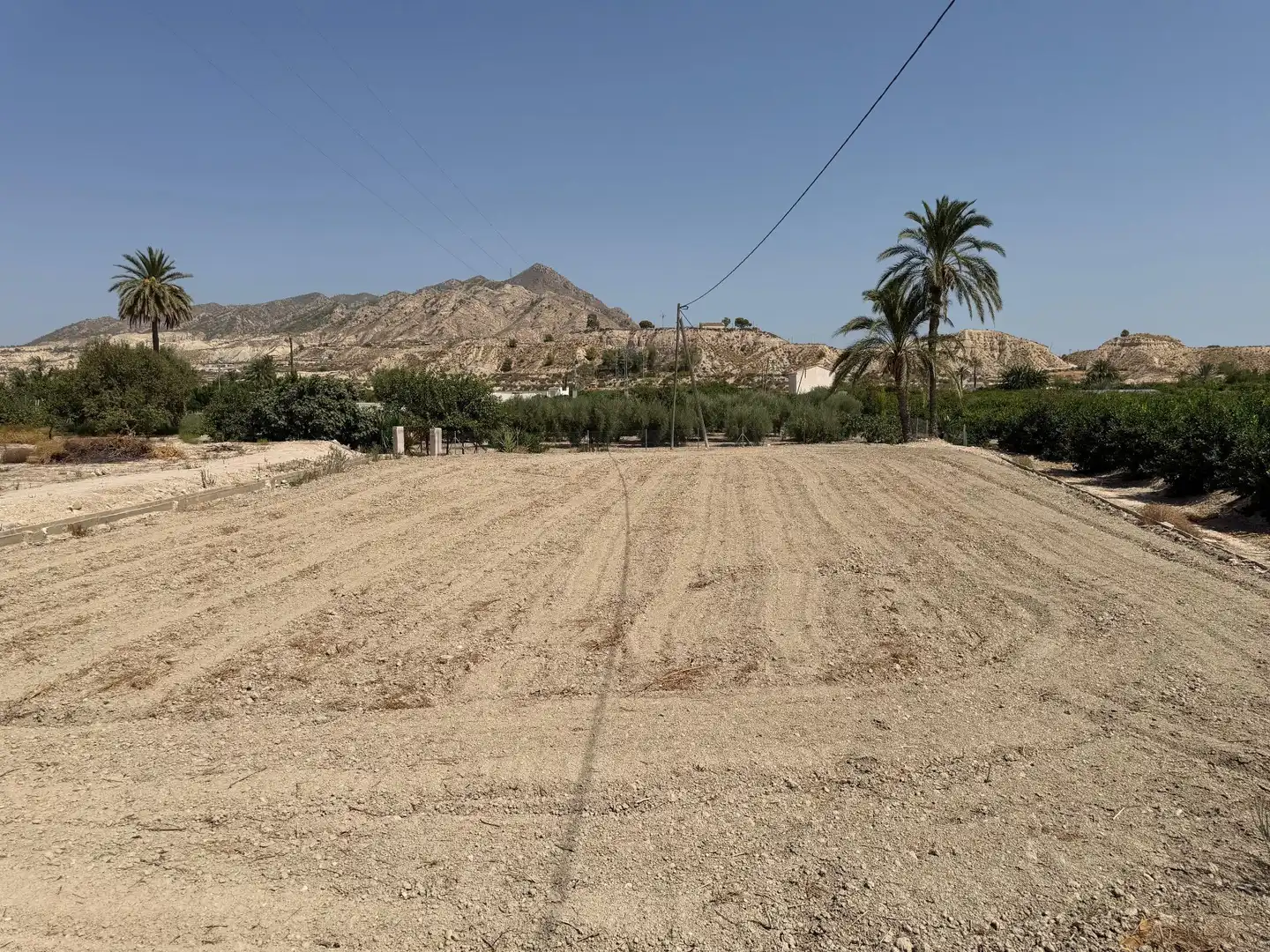 Rustikales Grundstück zum Verkauf in Abanilla, imagen 9