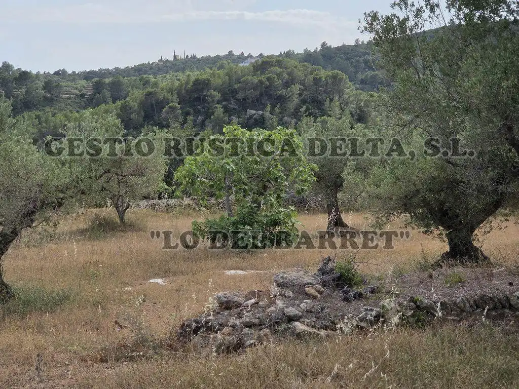 Finca rústica en venda en El Perelló
