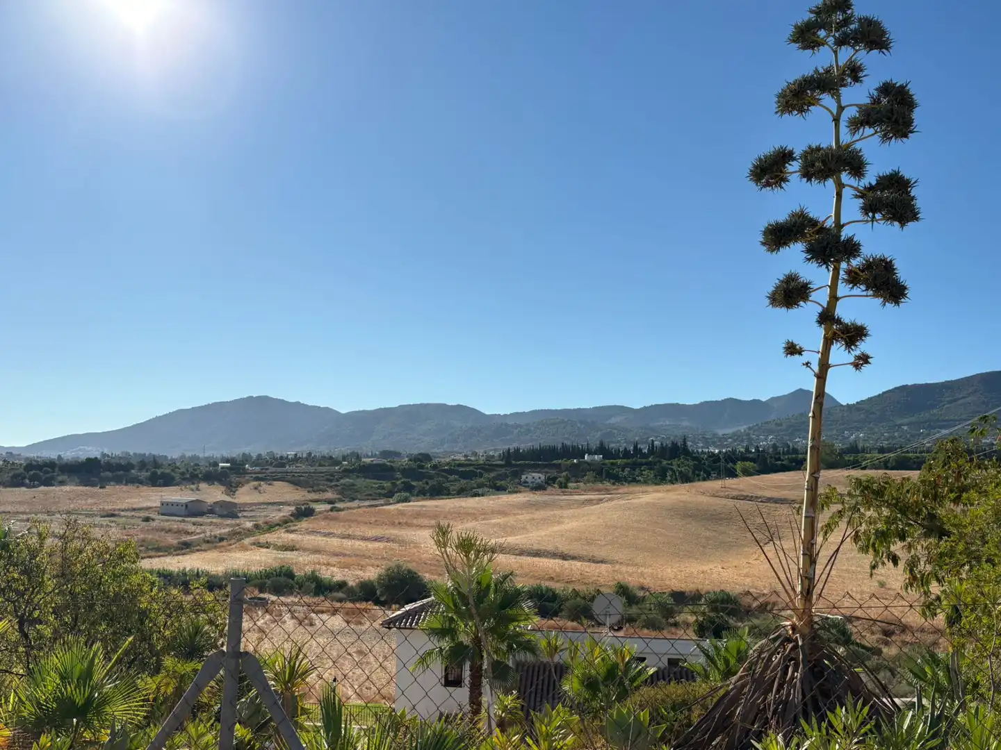 Terreno rustico in vendita a Camino Cuesta del Palmar, imagen 11