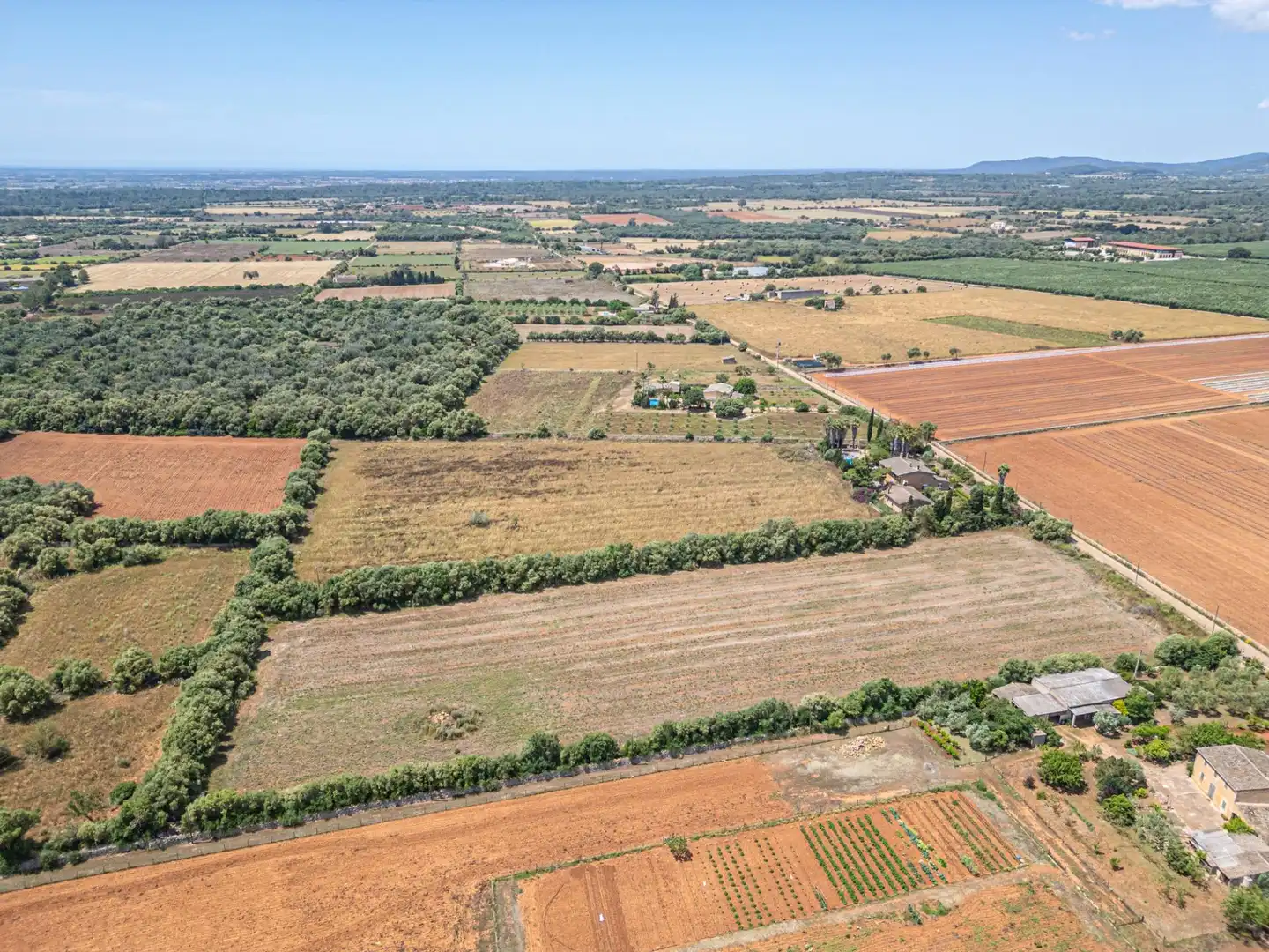 Rural land for sale in Felanitx Poble, imagen 13