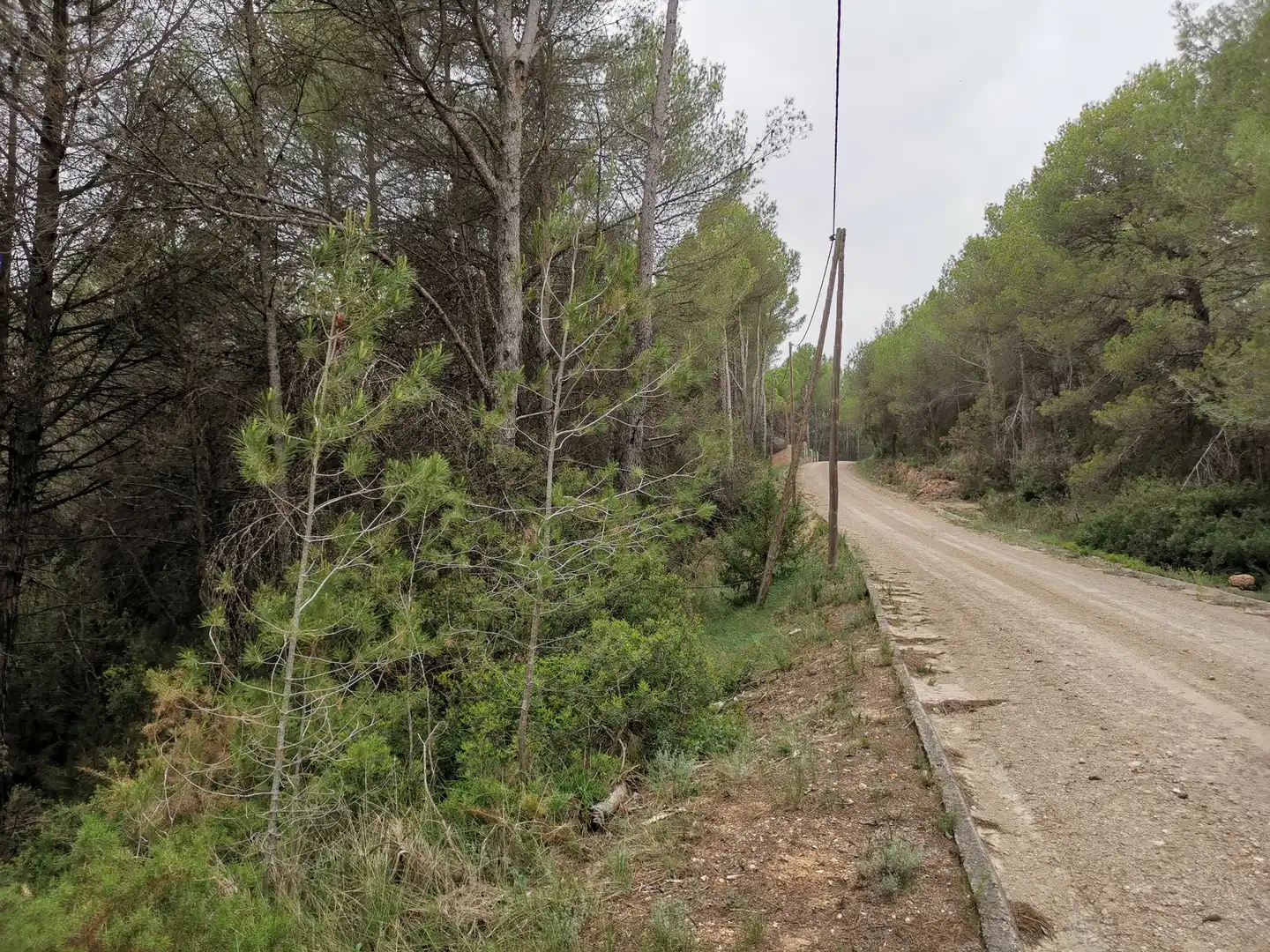 Residencial en venda en El Montmell