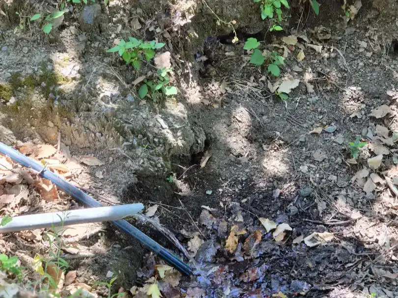 Jardí de Finca rústica en venda en Jubrique amb Piscina