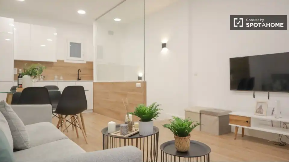 Sala d'estar de Pis de lloguer en Madrid amb Aire condicionat, Calefacció i Moblat