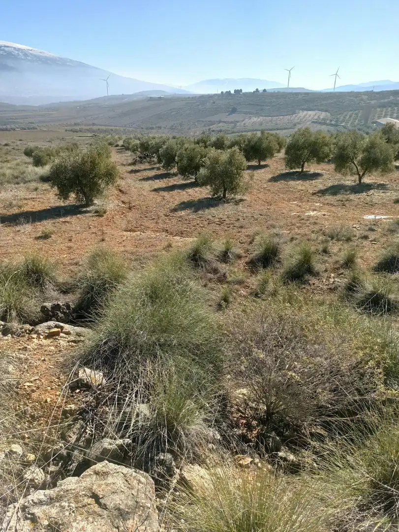 Terreny rústic en venda a Padul, imagen 21
