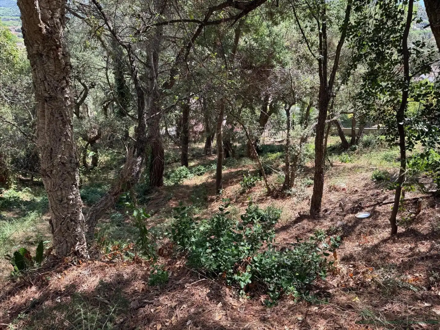 Residential land for sale in Bergueda, imagen 5