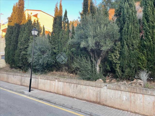 Terreno residencial en Venta en Rincón de Naquera en Casco Urbano