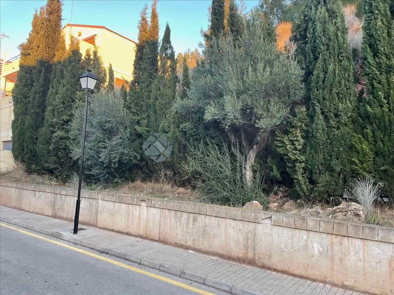 Terrenos y solares en venta en Rincón de Naquera