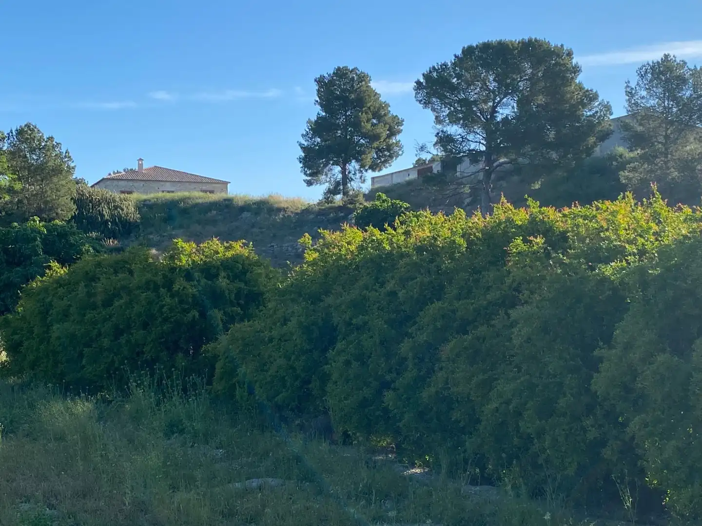 Villa à vendre à Moratalla, imagen 18
