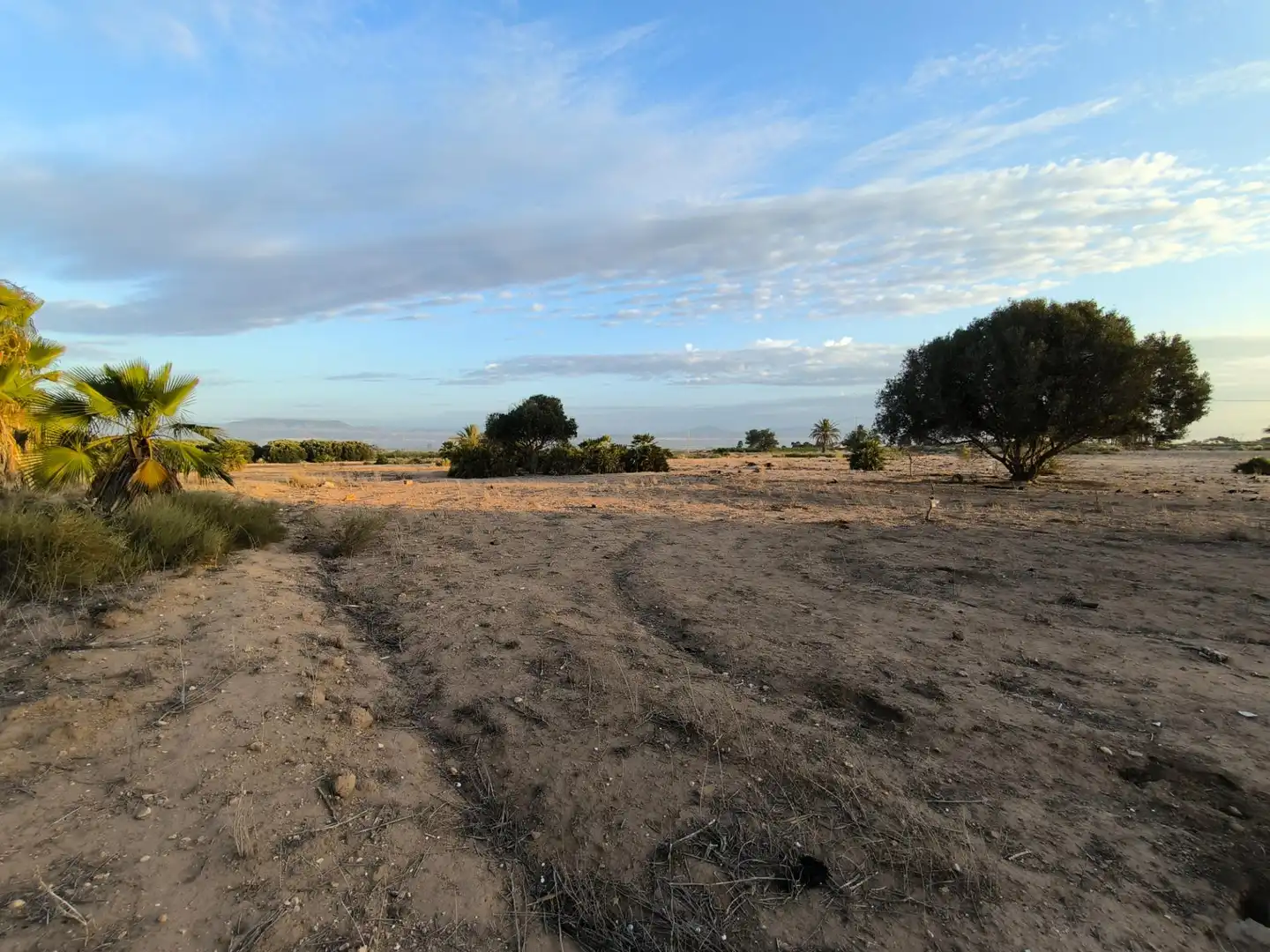 Terrain rustique à vendre à La Marina, imagen 30