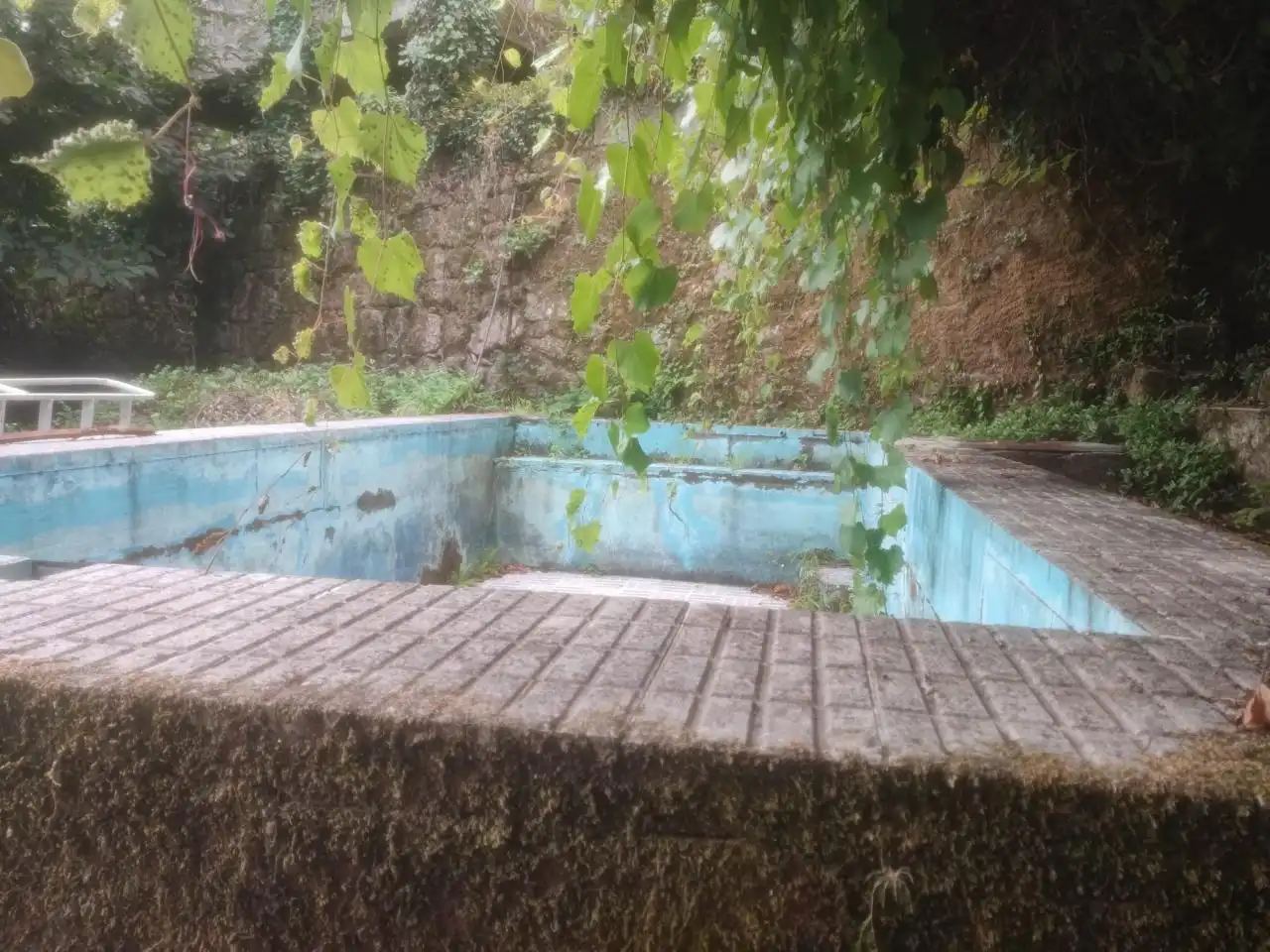 Piscina de Casa o chalet en venta en Pazos de Borbén con Calefacción, Jardín privado y Terraza
