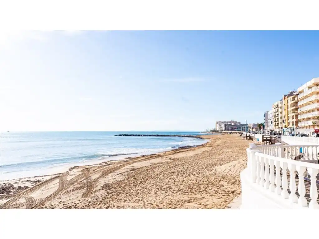 Vista exterior de Casa o chalet en venta en Torrevieja con Aire acondicionado, Jardín privado y Piscina