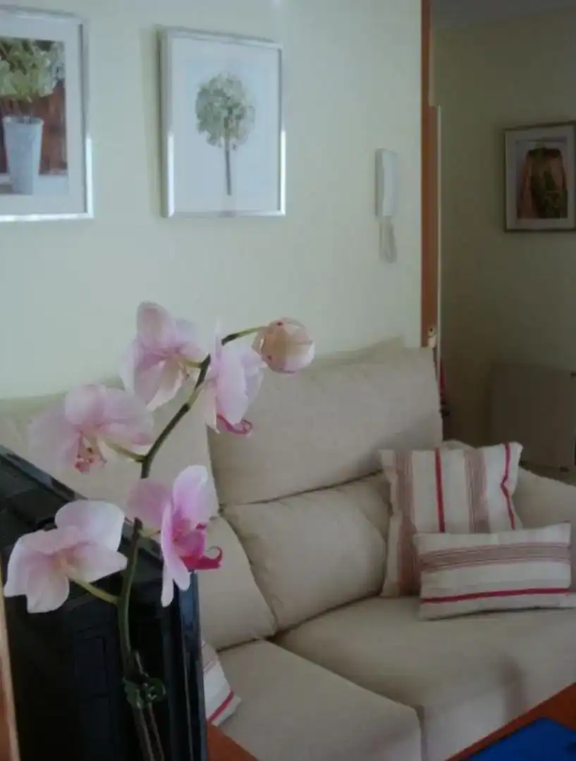 Sala d'estar de Apartament en venda en Pradosegar amb Moblat, Forn i Rentadora