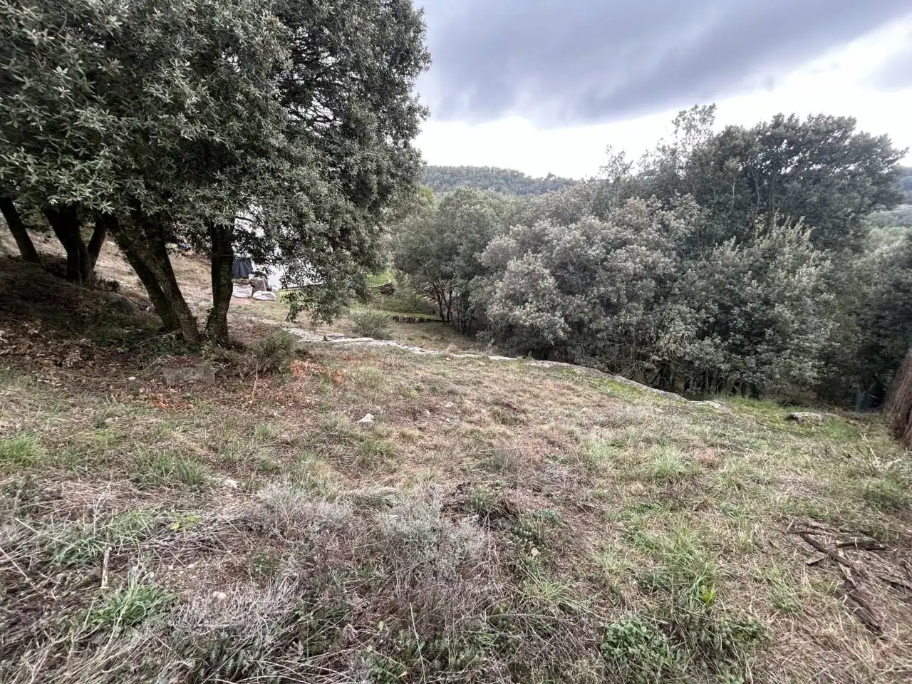 Residential land for sale in Calle de Puiglagulla 56, imagen 7