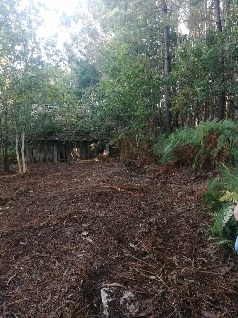 Finca rústica en venta en Ponteareas