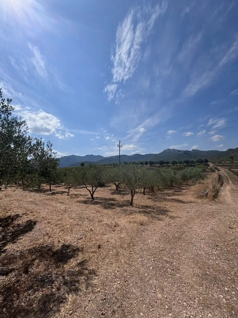 Rural land for sale in N/A, imagen 15