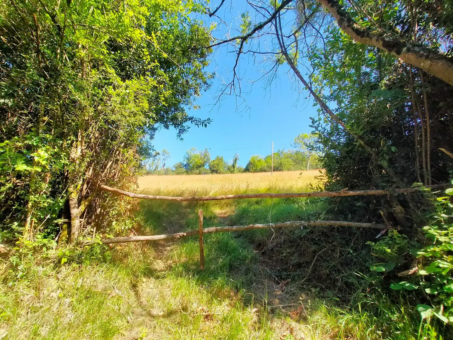Terrenys i solars en venda a Candamo, imagen 8