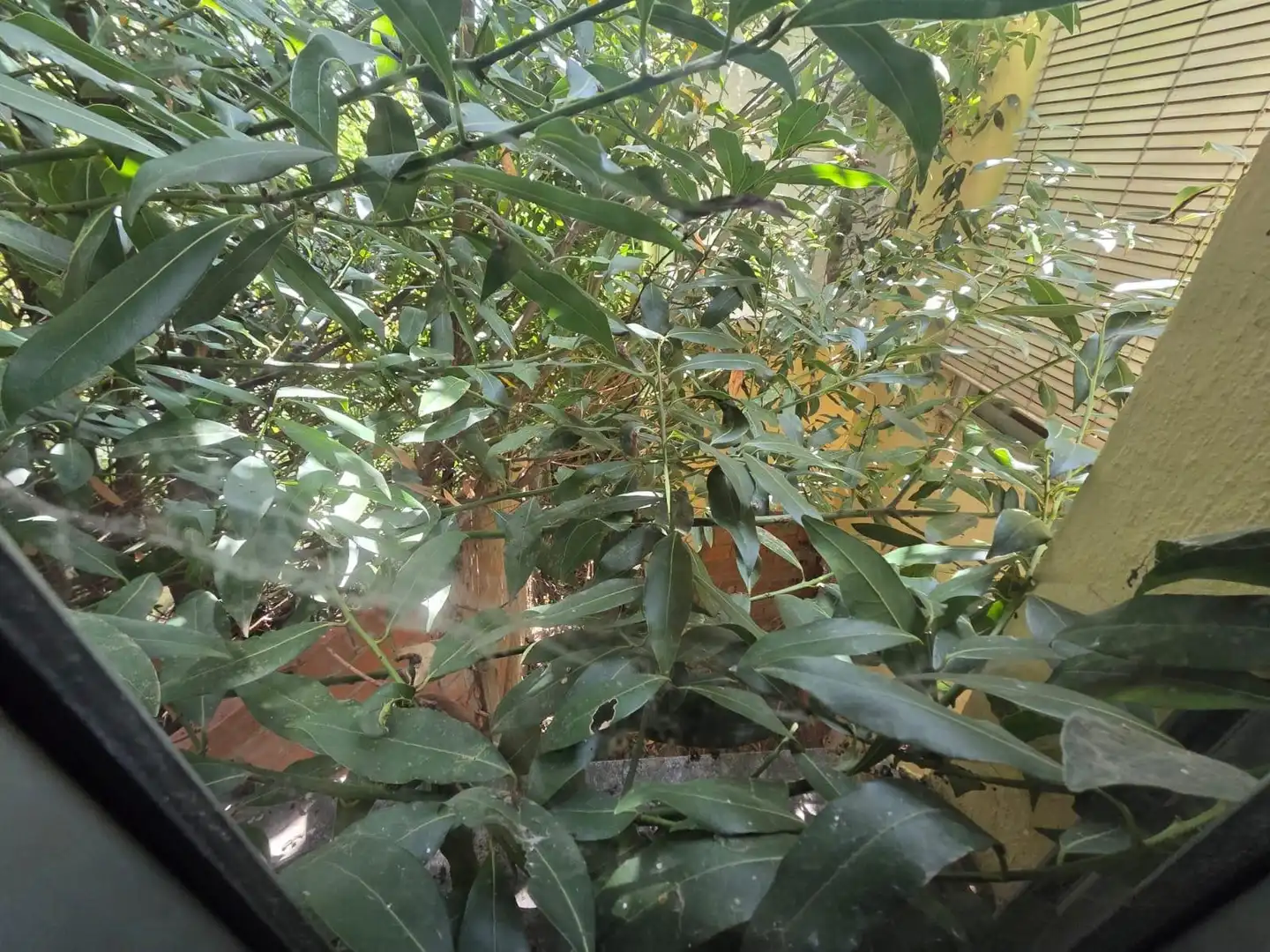 Jardí de Casa o xalet en venda en Astorga