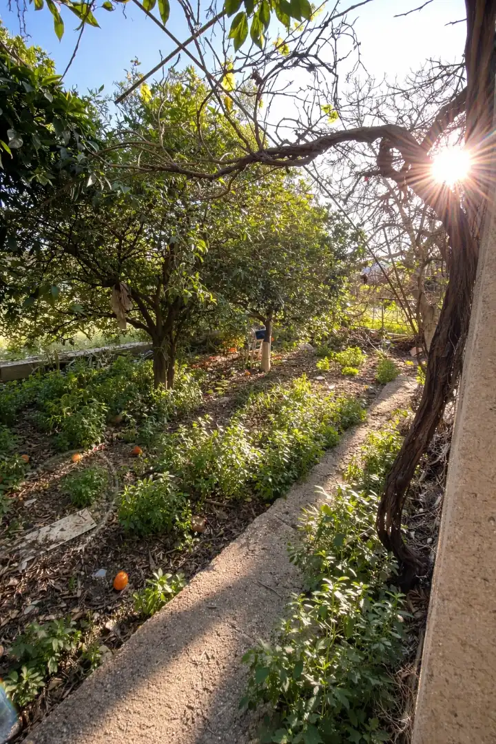 Terreno rustico in vendita a Alcantarilla, imagen 3