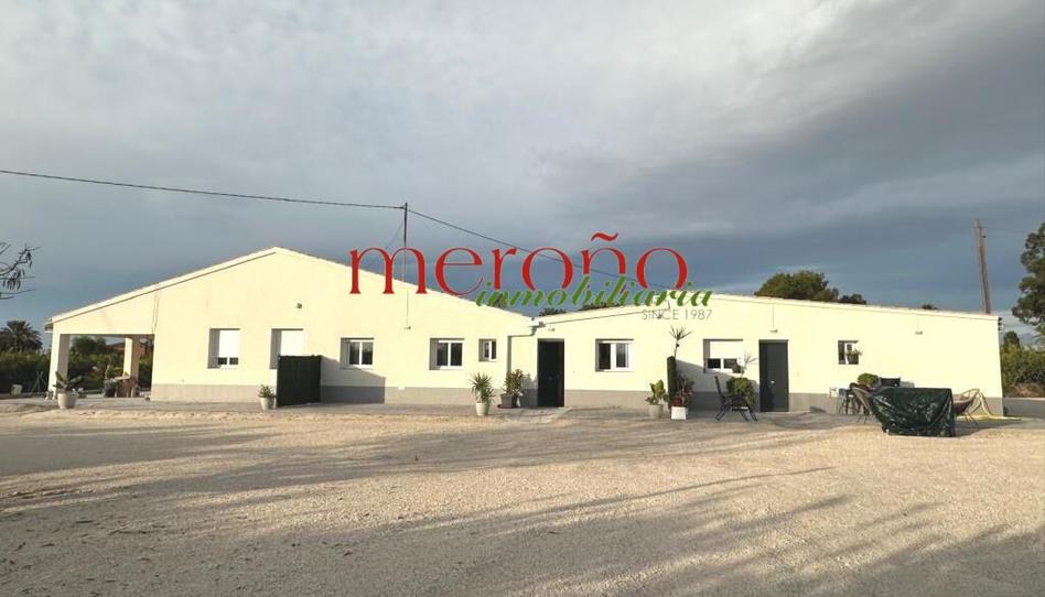 Foto 1 de Casa o xalet de lloguer a El Palmeral - San Antón, Alicante