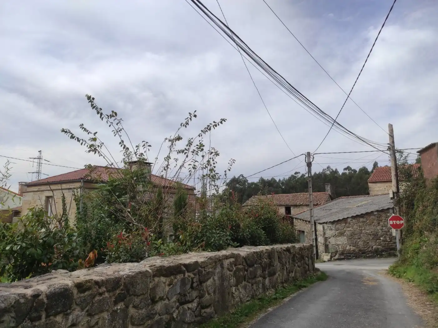 Vista exterior de Casa o xalet en venda en Santiago de Compostela 