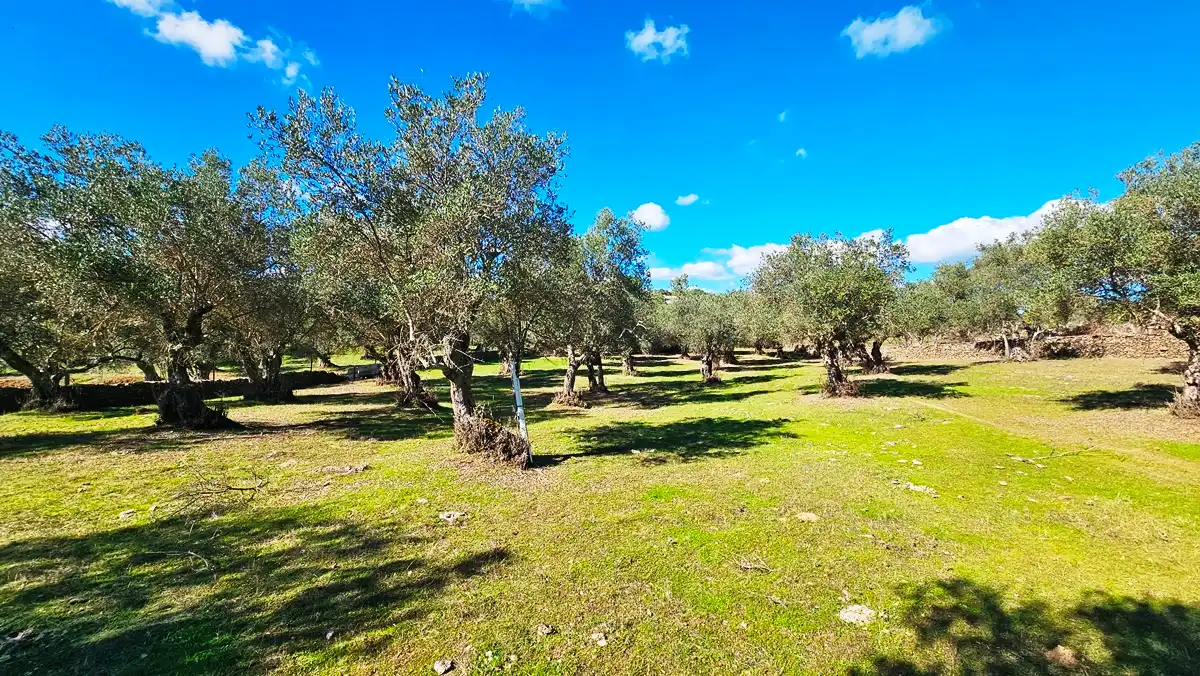 Casa rústica amb jardí en venda a Aracena, imagen 26