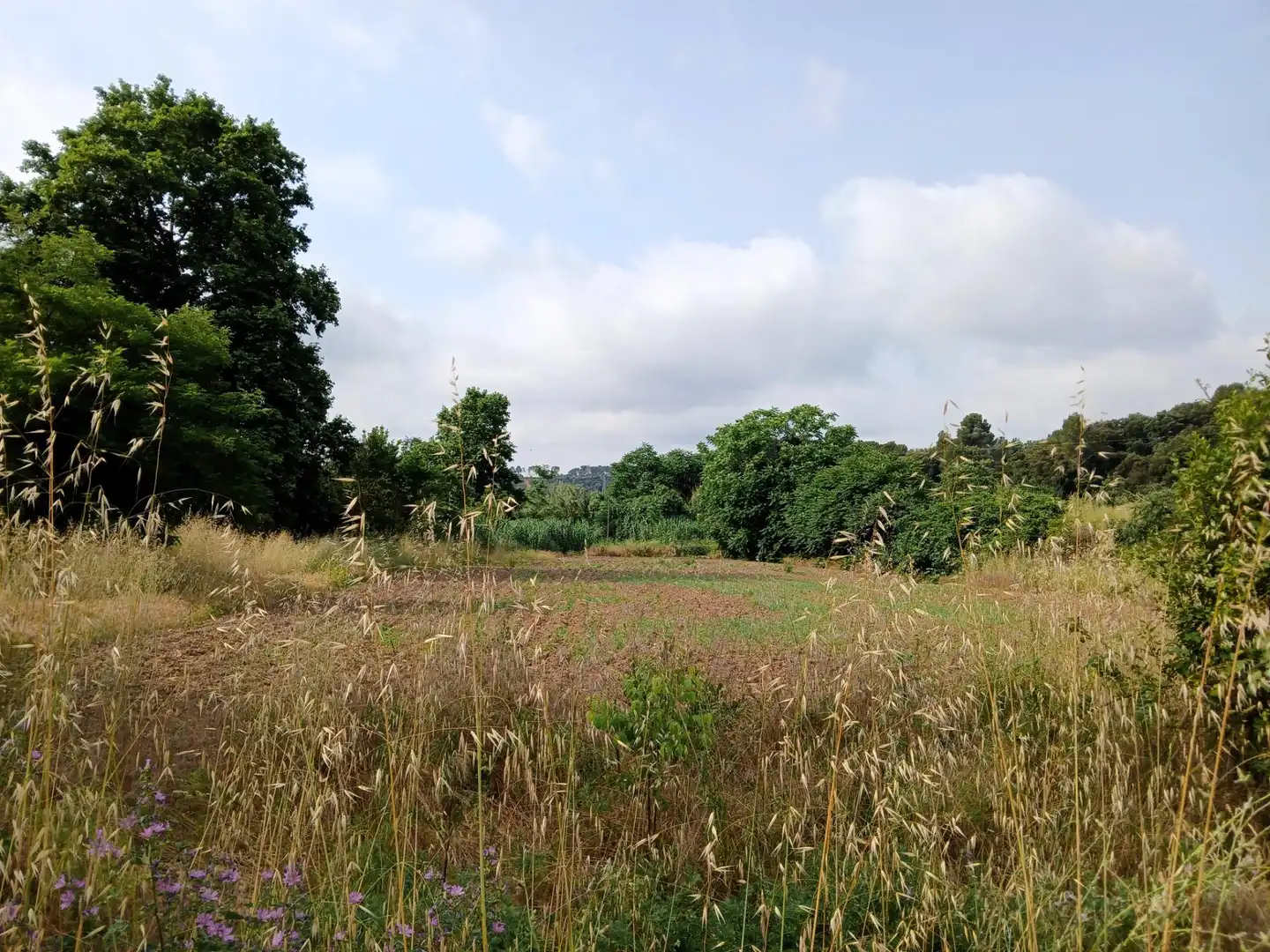 Terreno en venta en Castellar del Vallès