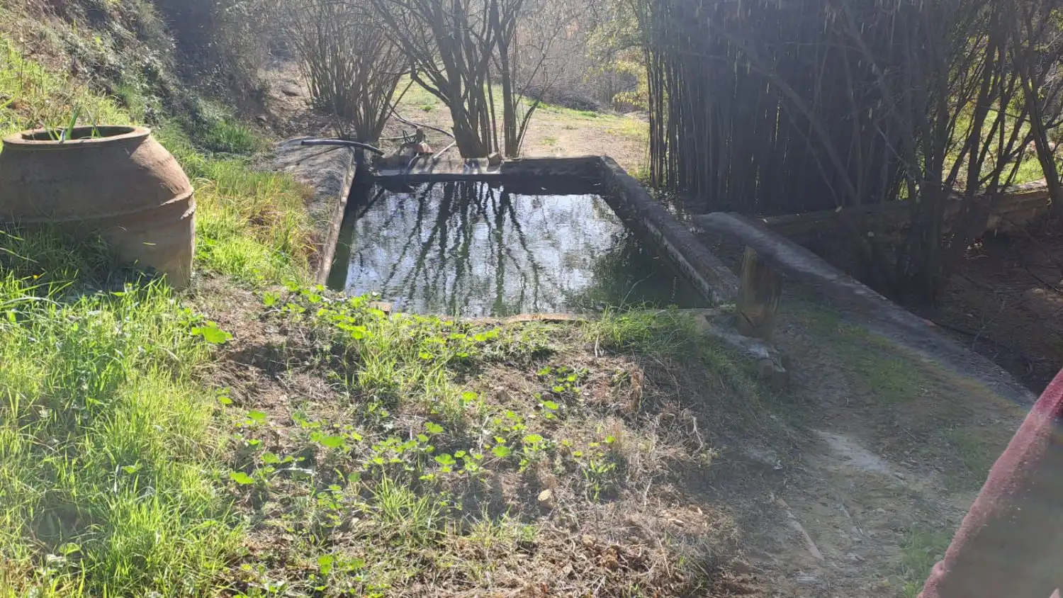 Piscina de Finca rústica en venda en Castellvell del Camp