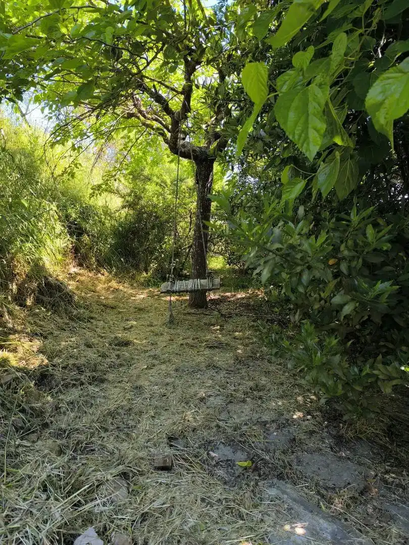 Jardí de Finca rústica de lloguer en Castellbell i el Vilar, Barcelona