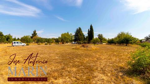 Photo 4 of House or chalet to rent in Avenida Campofrío II, Carretera de Sevilla - Los Montitos, Badajoz