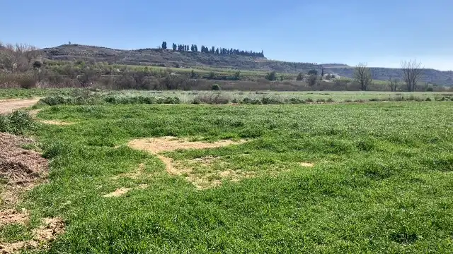 Terreni e lotti in vendita a Zaidín, imagen 3