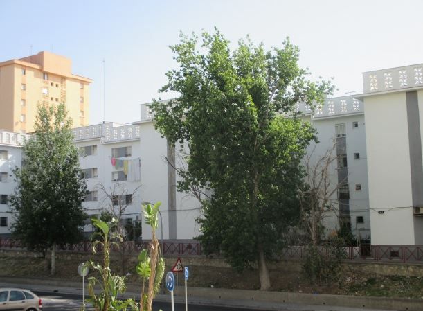 Exterior view of Flat for sale in Jerez de la Frontera