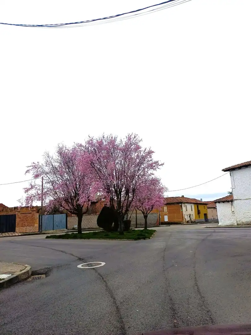 Finca rústica en venda a Valverde de la Virgen