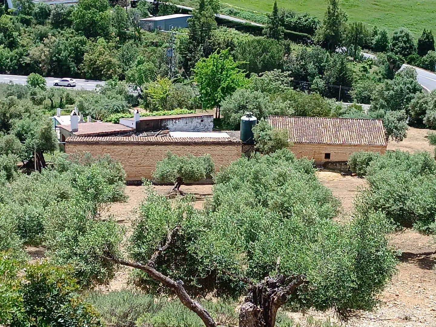 Residential for sale in Prado del Rey