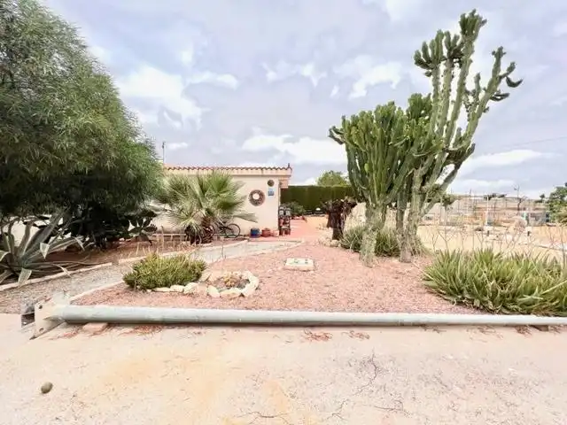 Vista exterior de Casa o chalet en venta en Alicante / Alacant con Calefacción, Jardín privado y Trastero