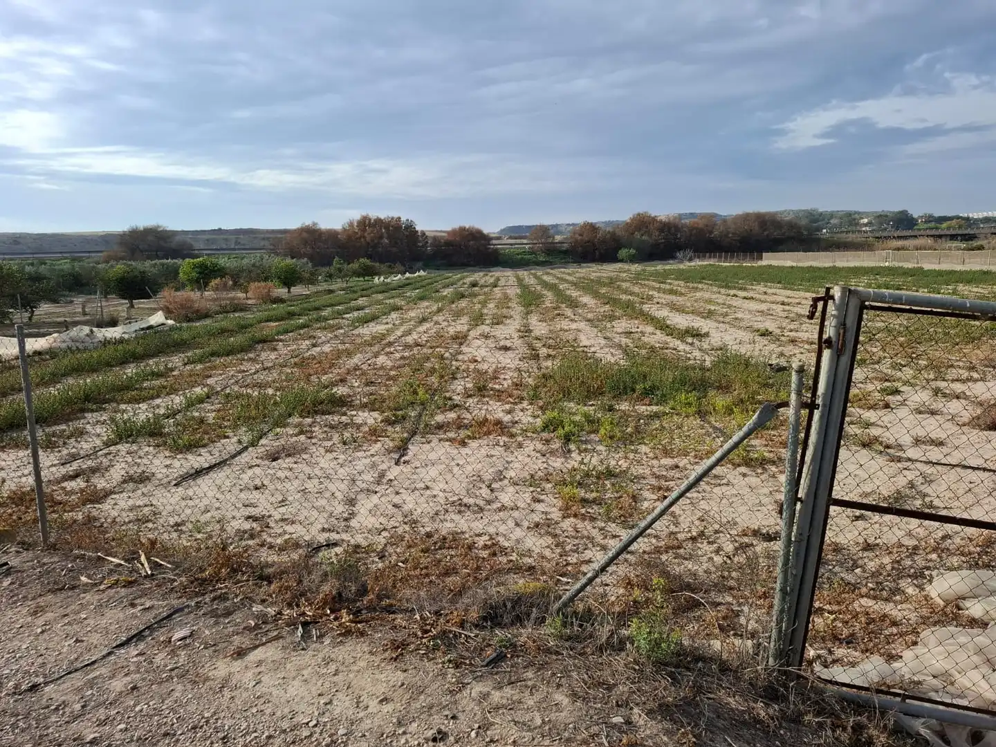 Terreno en venta en Guardamar del Segura