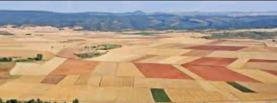 Land for sale in Morón de Almazán