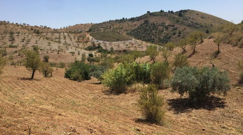 Foto 5 de Residencial en venta en Sierra de la Torrecilla, Torrecilla, Lorca